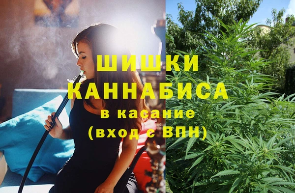 шишки Алексеевка