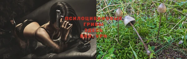 шишки Алексеевка